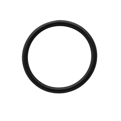 O-ring for Thermo ICP Duo Periscope Window, (PKT 10)